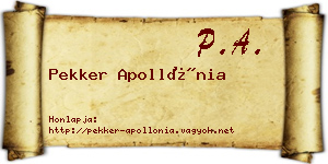 Pekker Apollónia névjegykártya